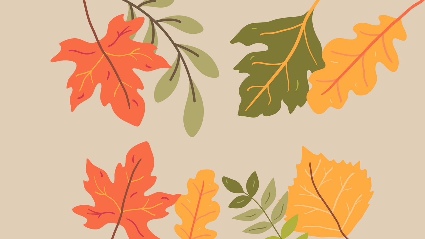 The Fall Market Edit