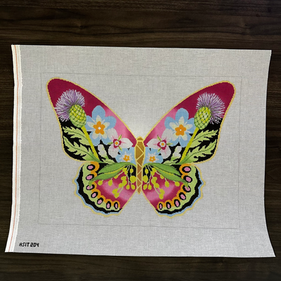 Thistle Butterfly