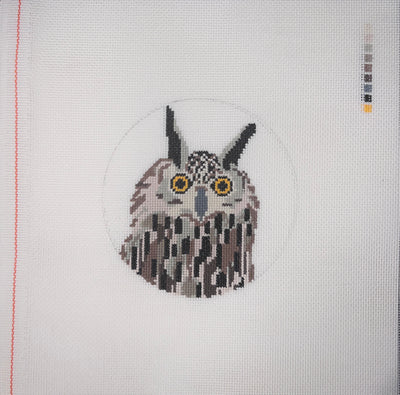 CS98 Flaco – the NYC owl