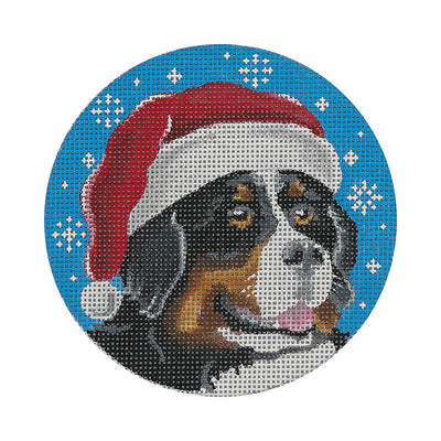 DG14 Bernese Santa