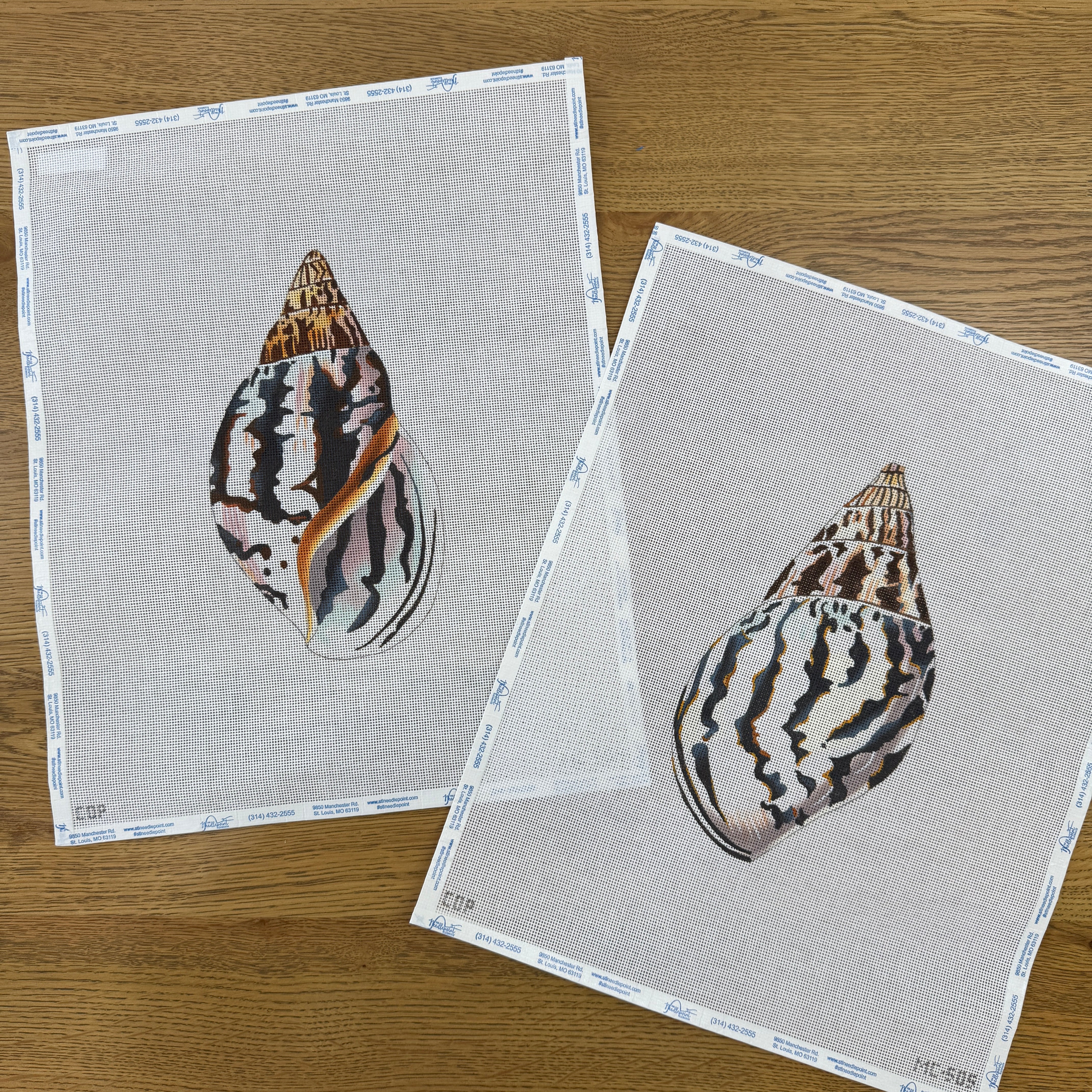 Shell Needlepoint Chart 3D Shell – The Needlepoint Clubhouse